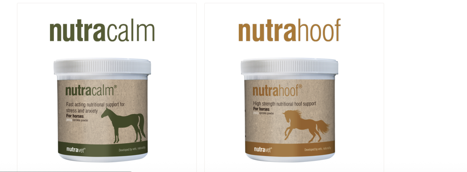 Herbal and Homeopathic Vet in North Wales & NW England